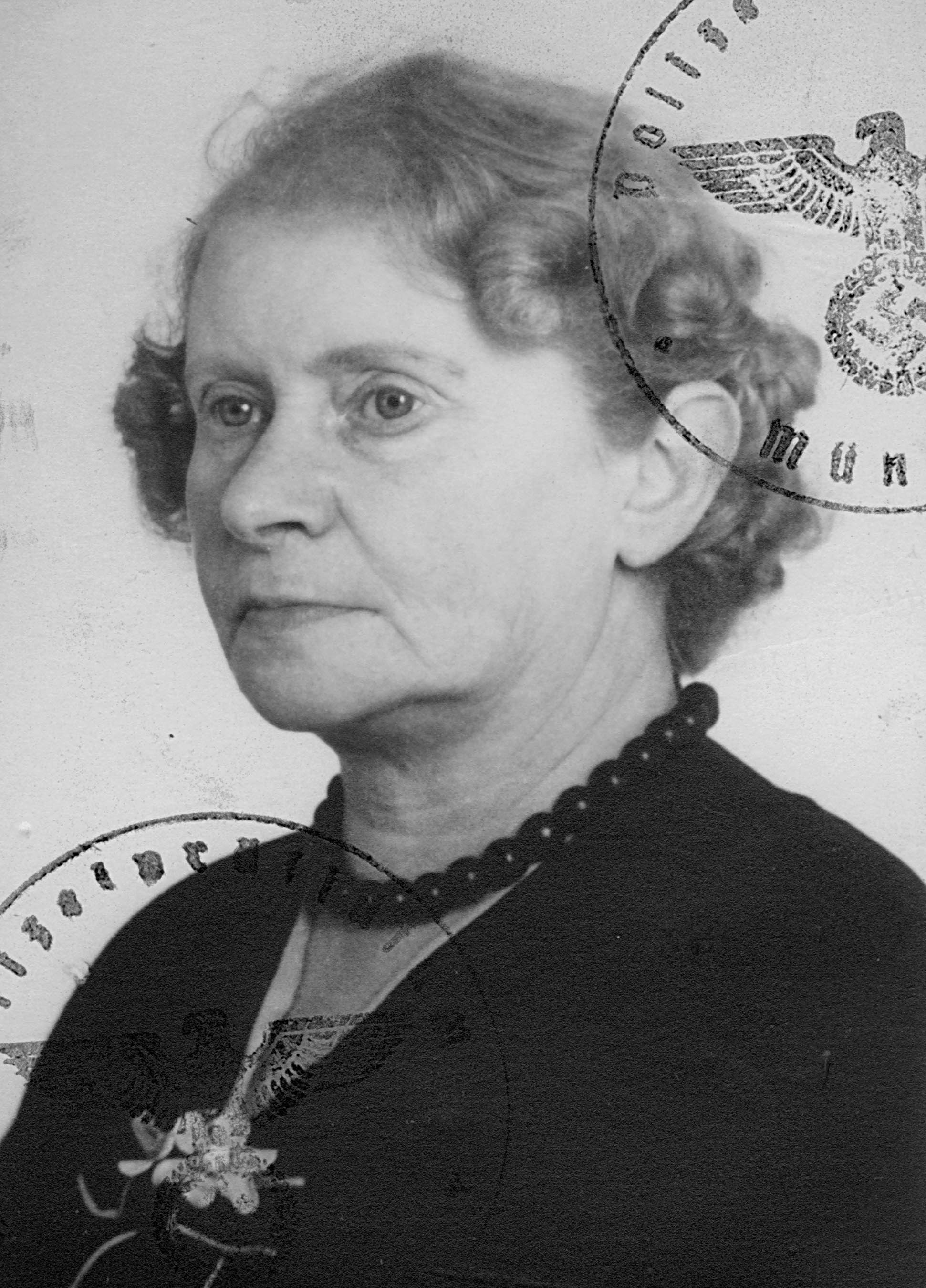 Holländer