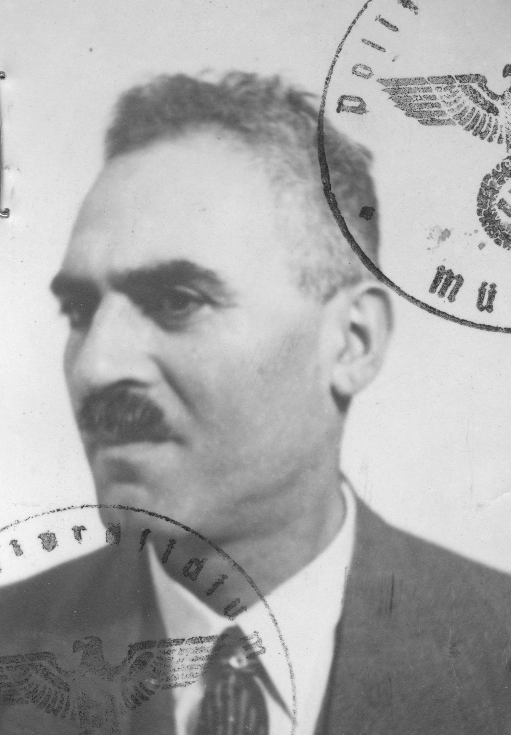 Kaufmann