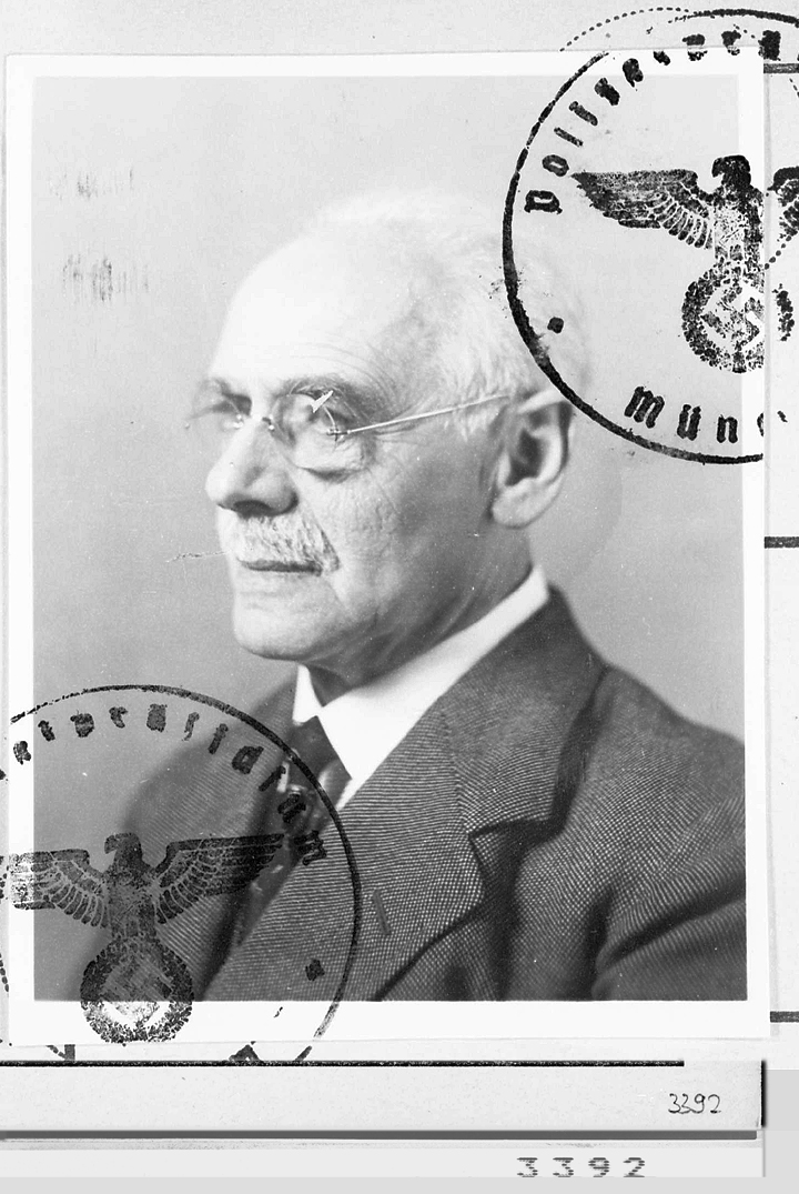 Rosenbusch