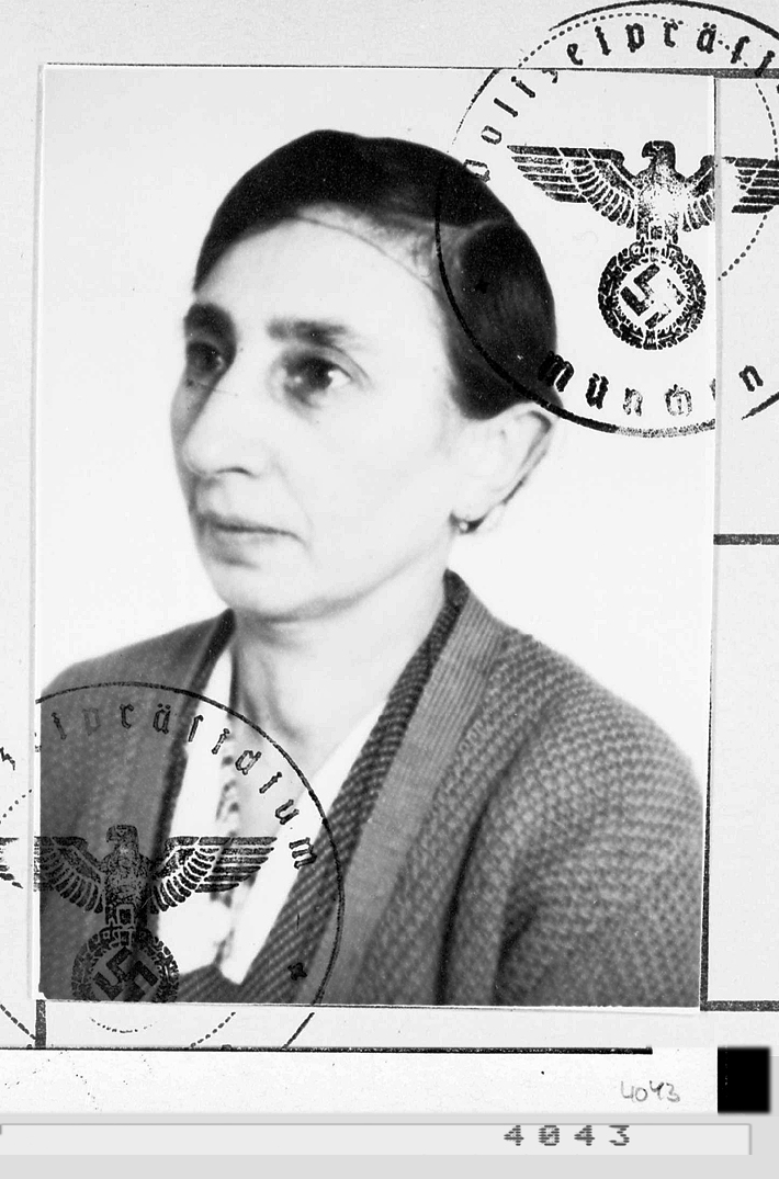 Julie Stein Stein