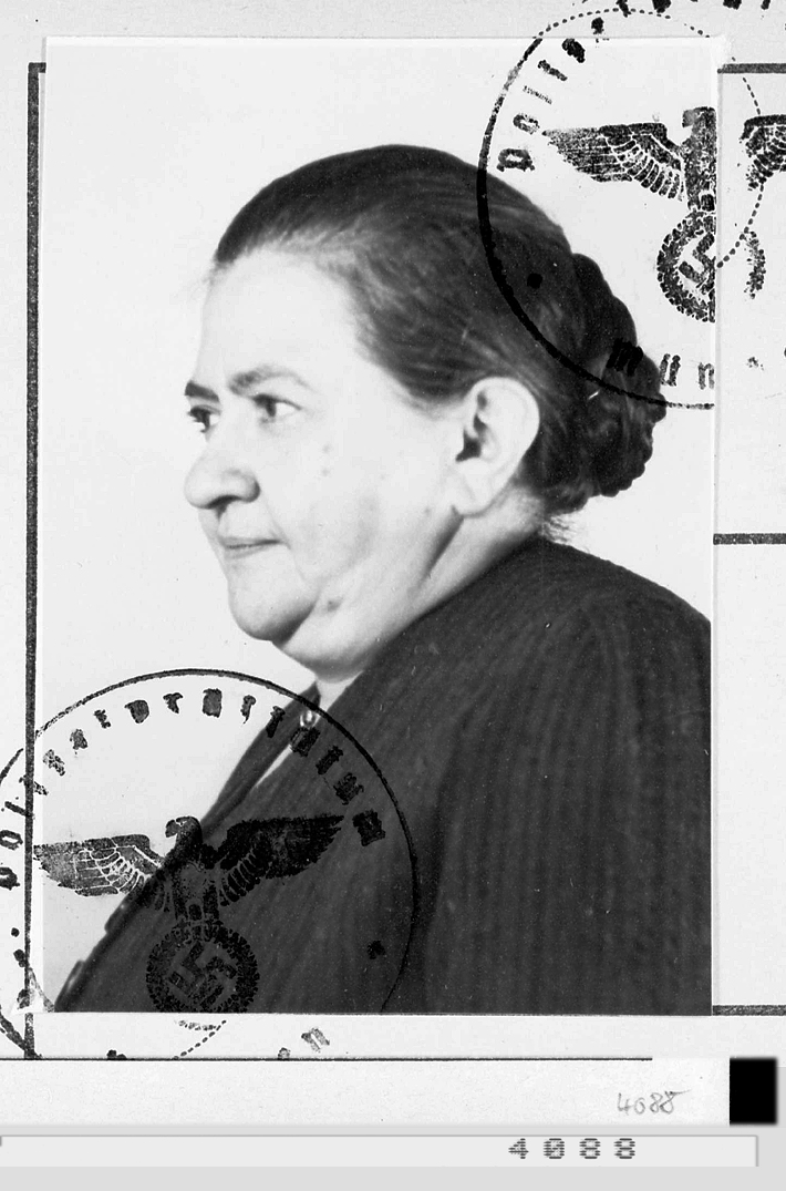 Anna Steinitz Steinitz