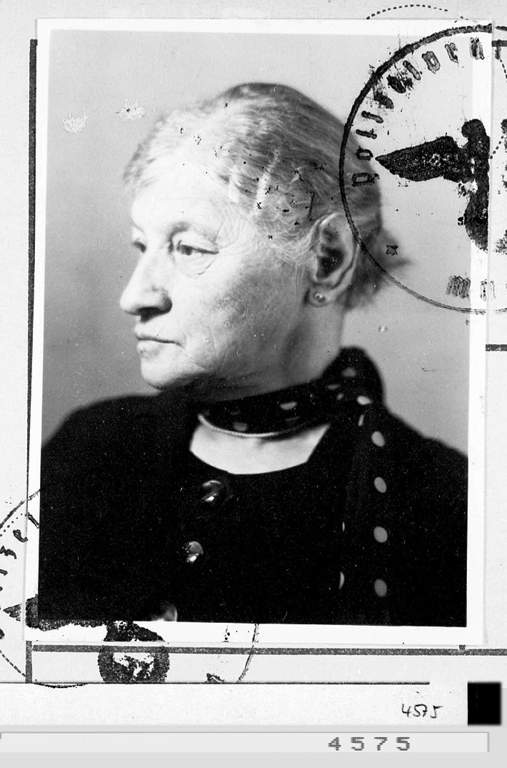 Rosa Wildberg Wildberg
