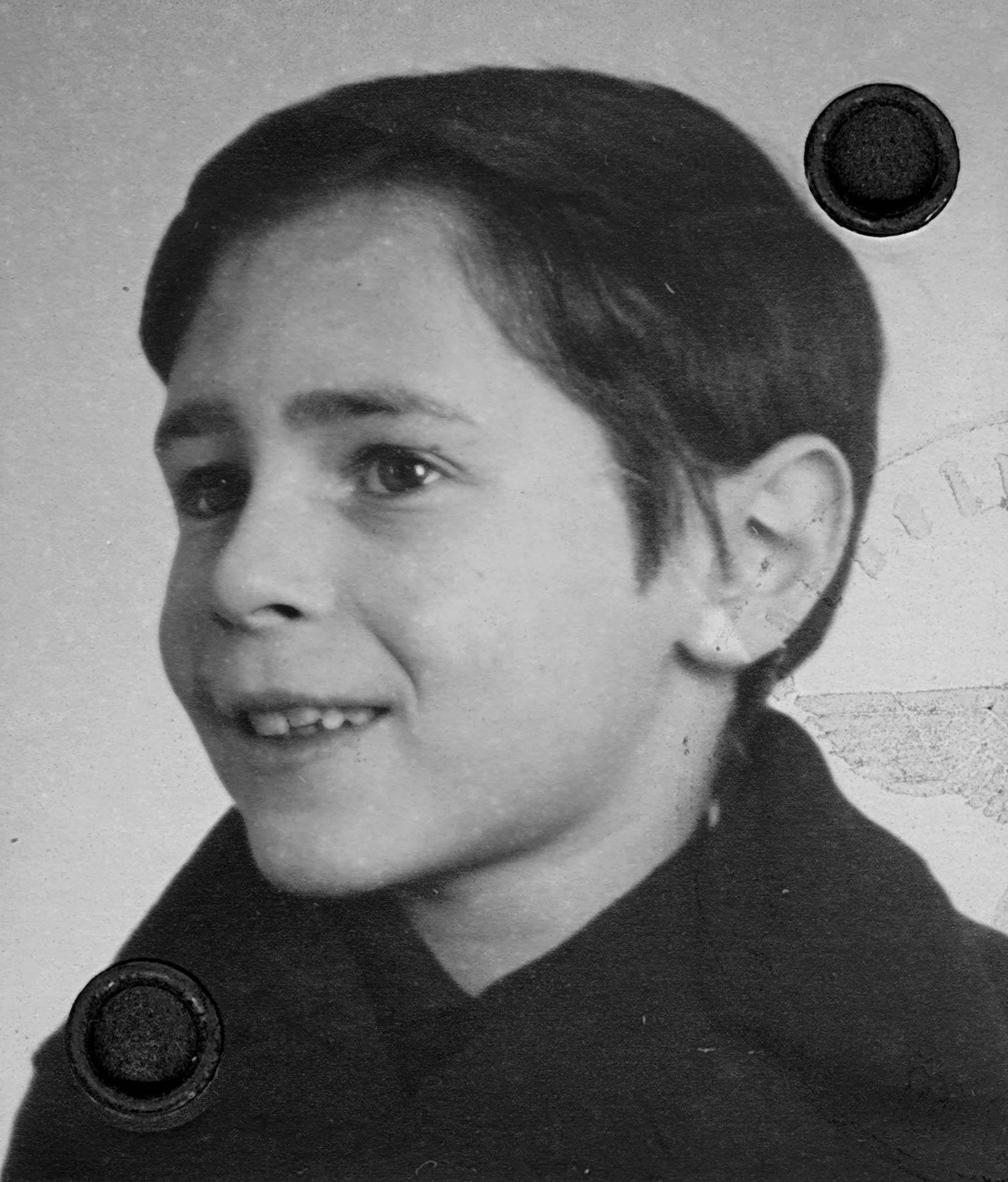Rosenbusch