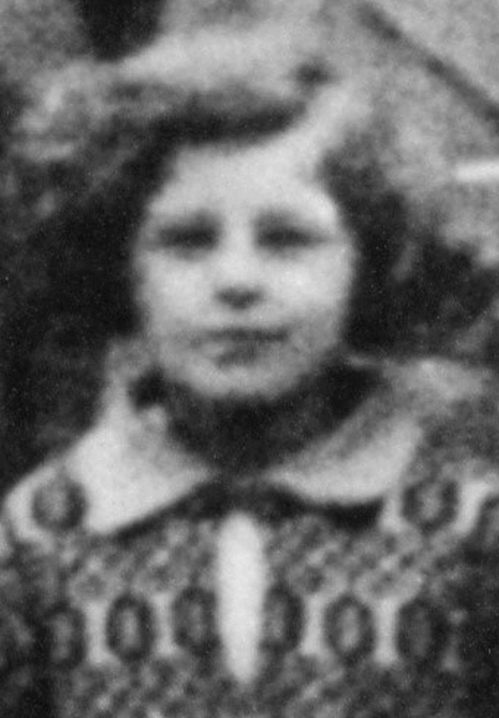 Steinkritzer